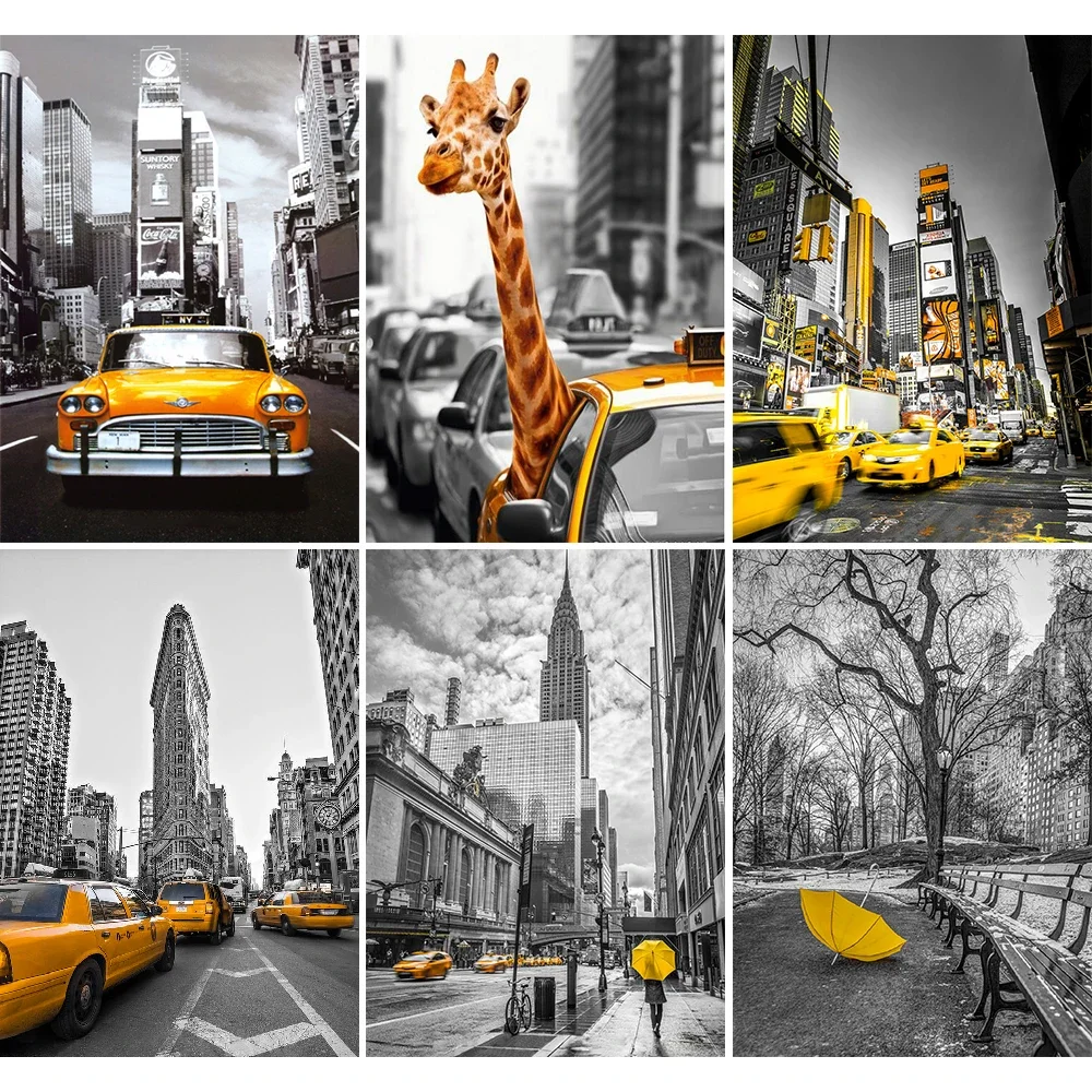 Photography New York - 5D fai da te diamante ricamo